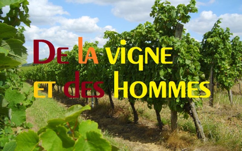 De la vigne et des hommes